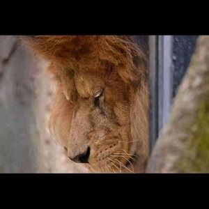 Meet your Posher, Mouna